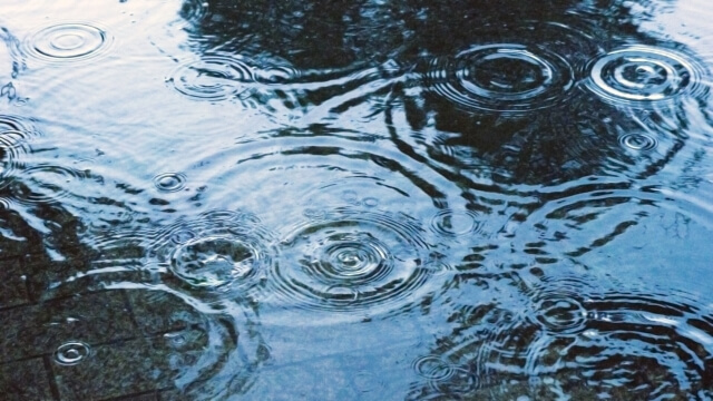 梅雨の体調不良の原因は「気圧の変化」と「湿気」？